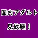 国内のアダルト動画見放題サイト・アプリ